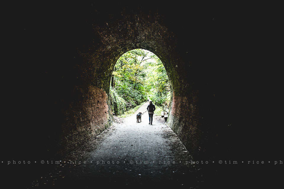 yr8%e2%80%a2003-365%e2%80%a22559%e2%80%a2holliston-trail