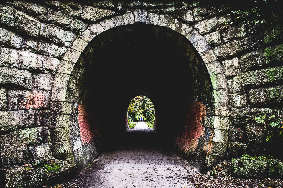 yr8%e2%80%a2005-365%e2%80%a22559%e2%80%a2holliston-trail