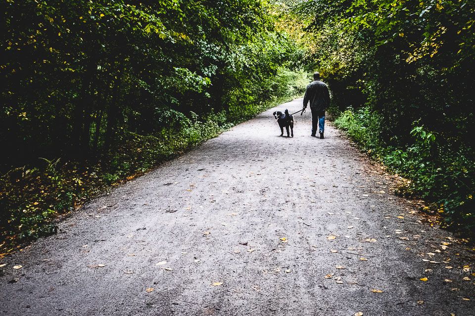 yr8%e2%80%a2006-365%e2%80%a22559%e2%80%a2holliston-trail