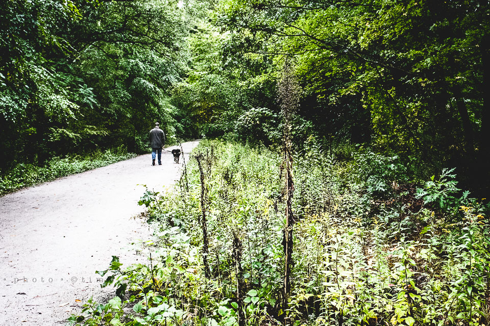 yr8%e2%80%a2007-365%e2%80%a22559%e2%80%a2holliston-trail