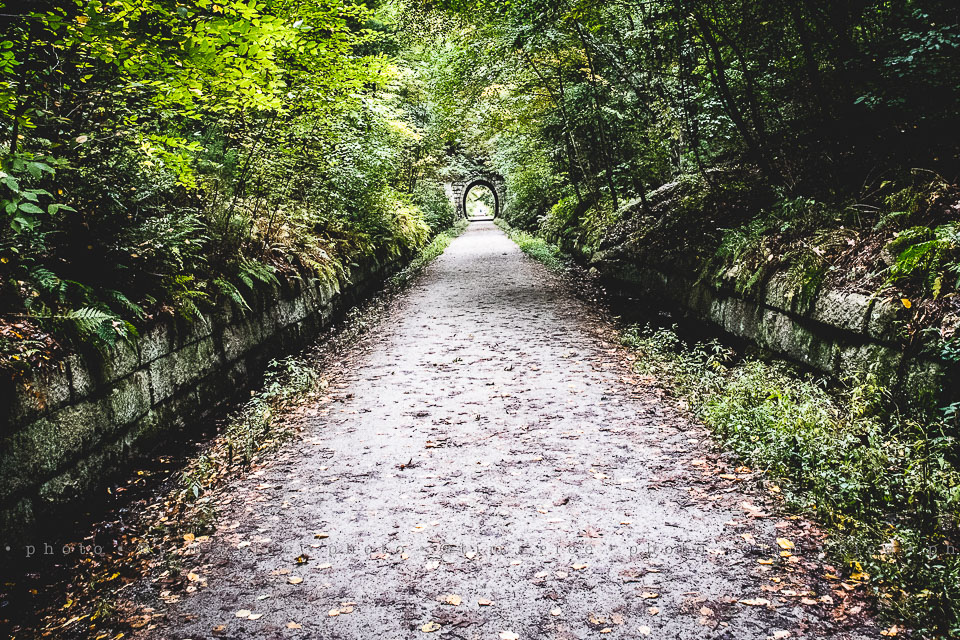 yr8%e2%80%a2008-365%e2%80%a22559%e2%80%a2holliston-trail