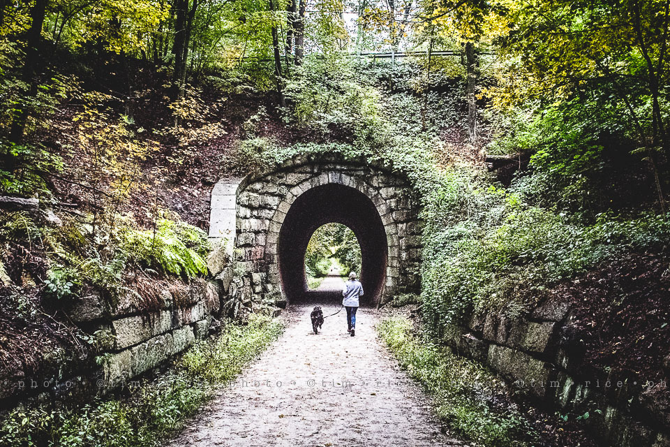 yr8%e2%80%a2009-365%e2%80%a22559%e2%80%a2holliston-trail