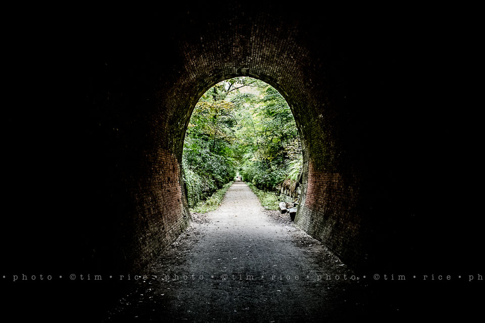 yr8%e2%80%a2010-365%e2%80%a22559%e2%80%a2holliston-trail