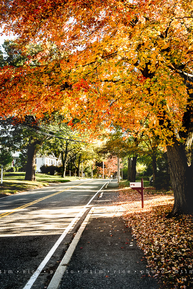 yr8%e2%80%a2011-365%e2%80%a22568%e2%80%a2street-scene