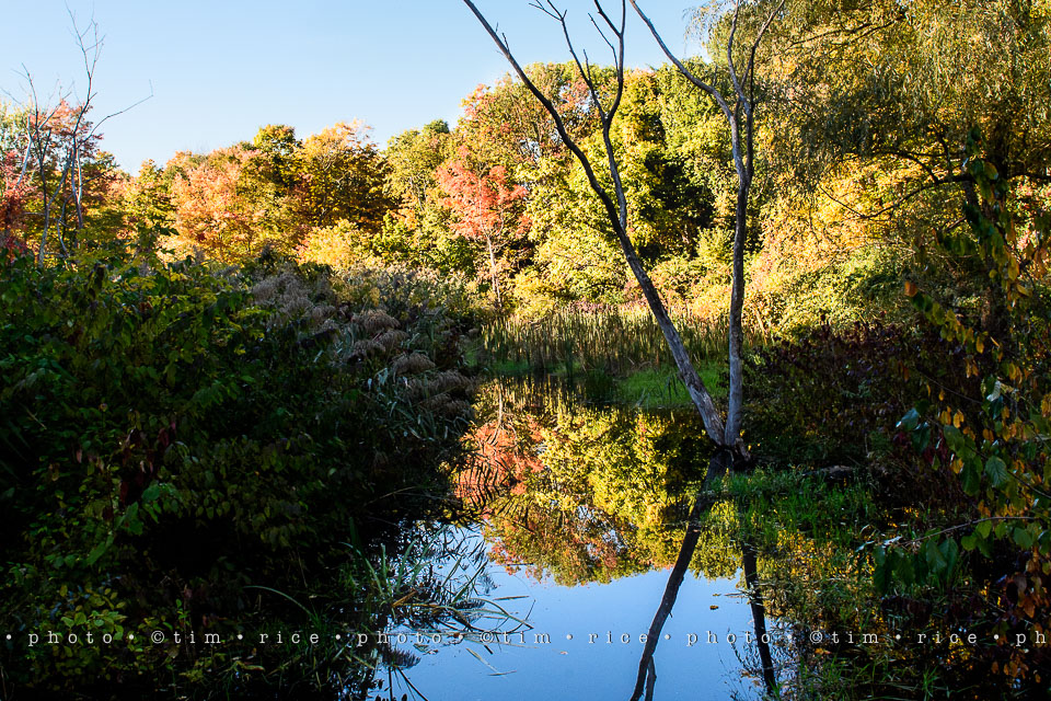 yr8%e2%80%a2011-365%e2%80%a22568%e2%80%a2street-scene