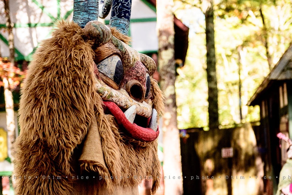 yr8%e2%80%a2014-365%e2%80%a22567%e2%80%a2king-richards