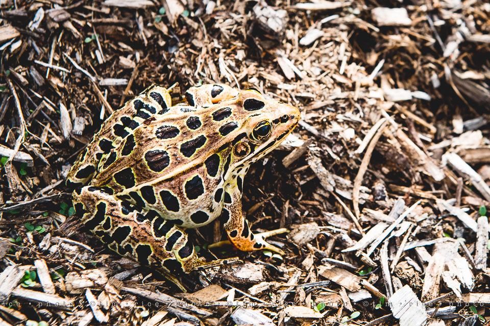 yr8%e2%80%a2025-365%e2%80%a22582%e2%80%a2this-guy