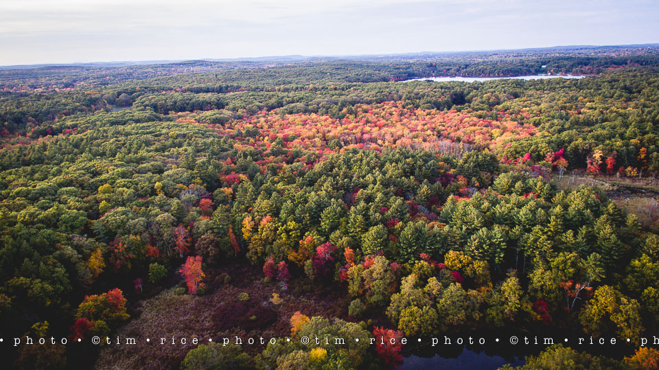 yr8%e2%80%a2026-365%e2%80%a22574%e2%80%a2bend-in-the-charles