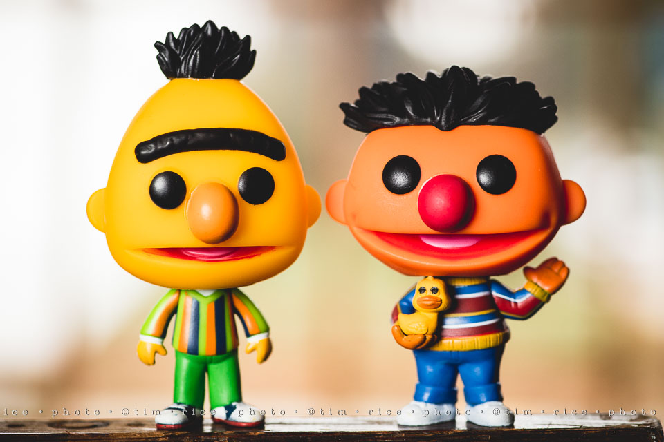 yr8%e2%80%a2026-365%e2%80%a22583%e2%80%a2burt-ernie