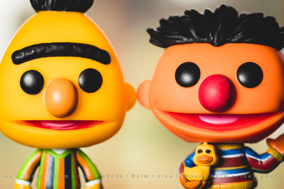 yr8%e2%80%a2026-365%e2%80%a22583%e2%80%a2burt-ernie