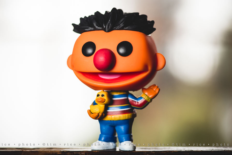 yr8%e2%80%a2027-365%e2%80%a22583%e2%80%a2burt-ernie