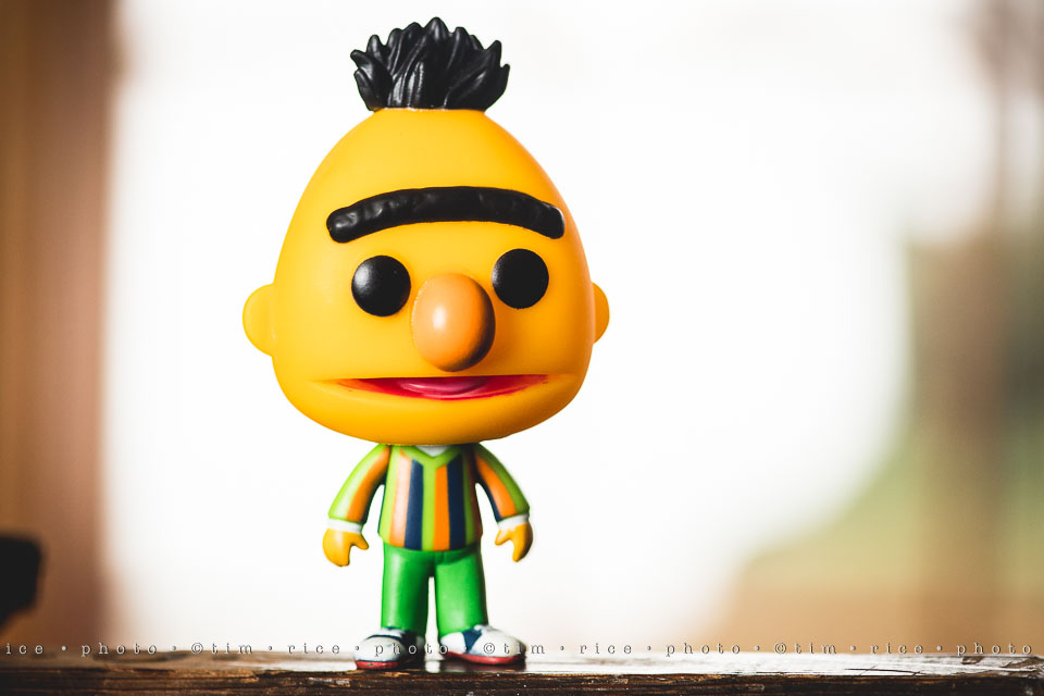 yr8%e2%80%a2028-365%e2%80%a22583%e2%80%a2burt-ernie