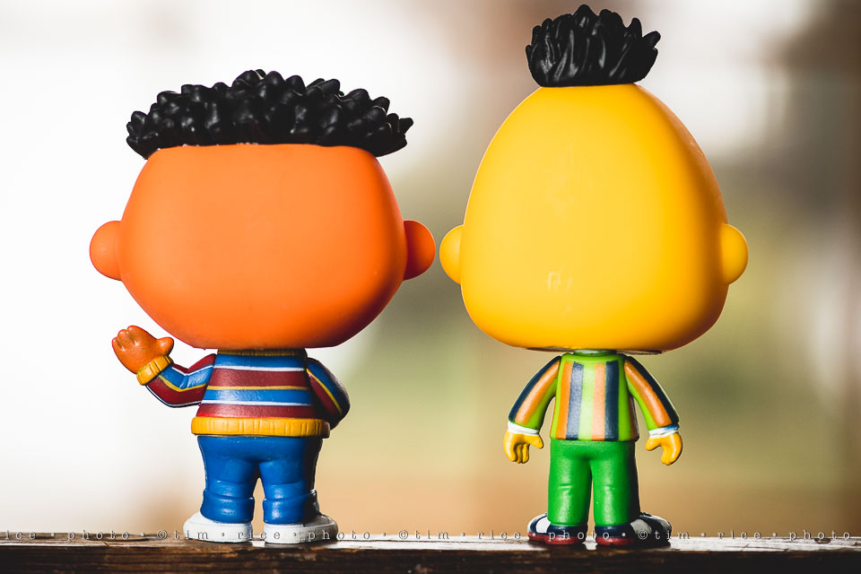 yr8%e2%80%a2029-365%e2%80%a22583%e2%80%a2burt-ernie