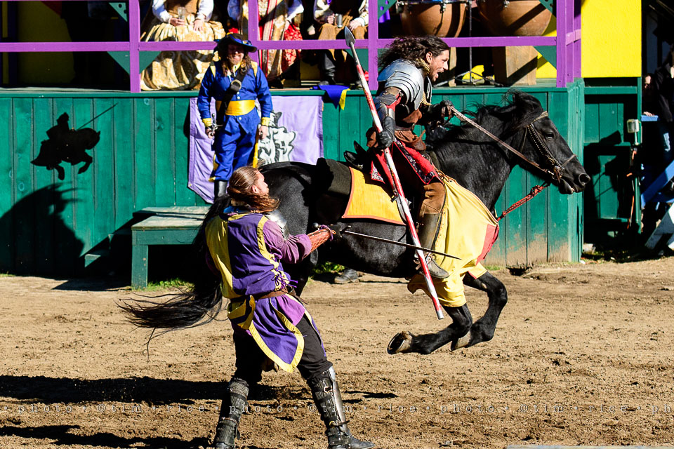 yr8%e2%80%a2062-365%e2%80%a22567%e2%80%a2king-richards