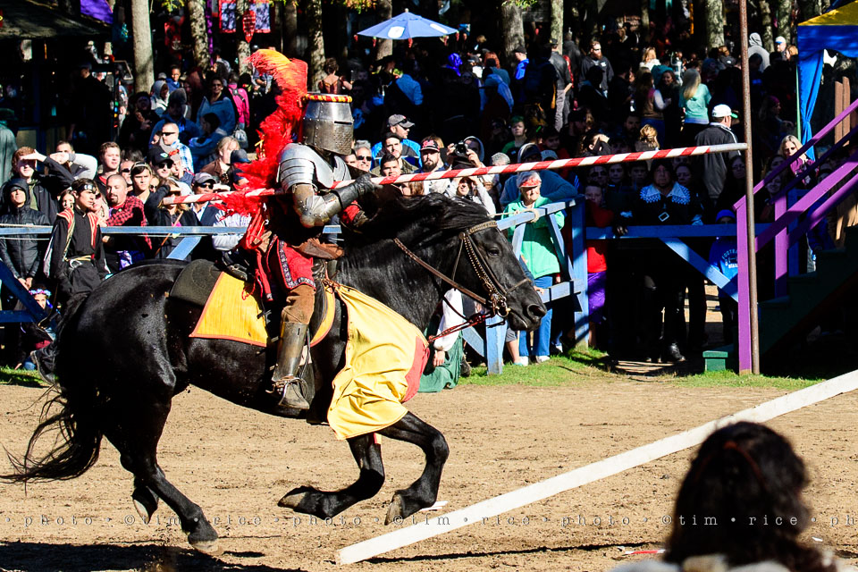 yr8%e2%80%a2069-365%e2%80%a22567%e2%80%a2king-richards