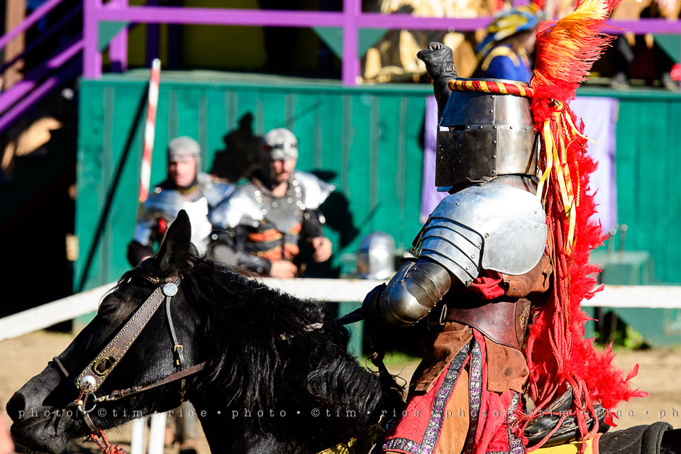 yr8%e2%80%a2070-365%e2%80%a22567%e2%80%a2king-richards