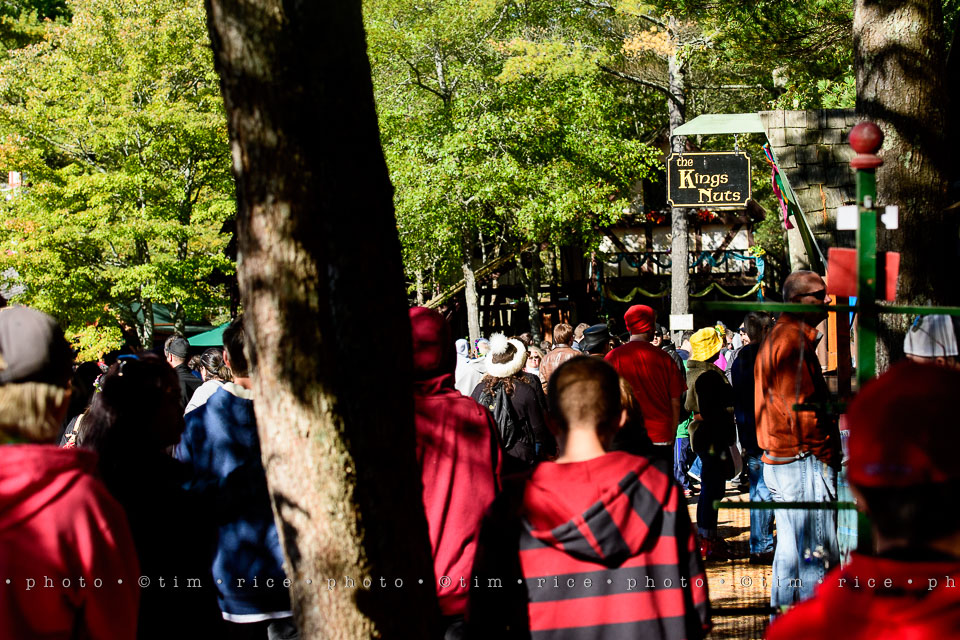 yr8%e2%80%a2077-365%e2%80%a22567%e2%80%a2king-richards