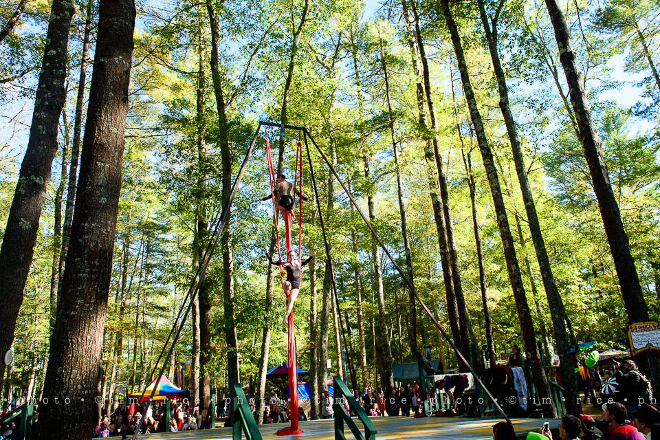 yr8%e2%80%a2078-365%e2%80%a22567%e2%80%a2king-richards