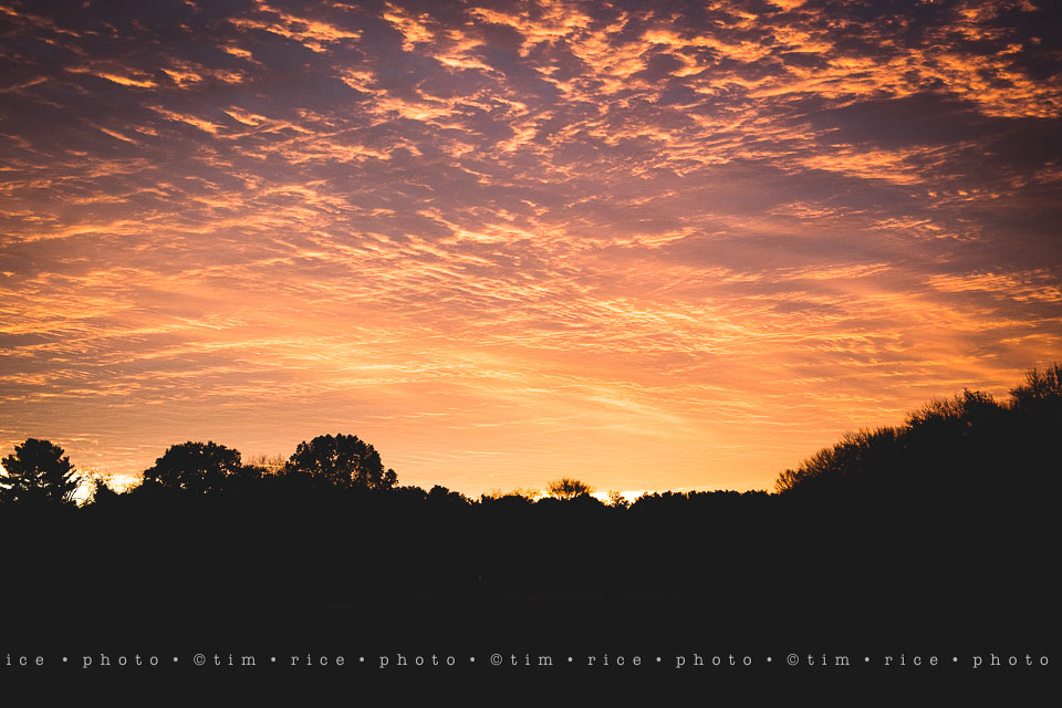 yr8%e2%80%a2227-365%e2%80%a22584%e2%80%a2subtle-sky