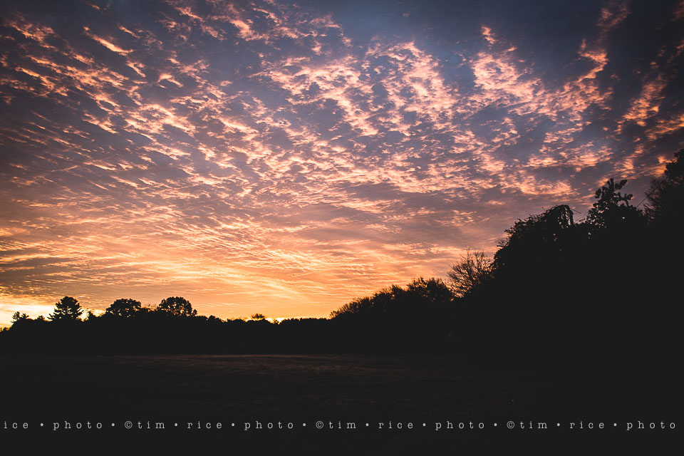 yr8%e2%80%a2227-365%e2%80%a22584%e2%80%a2subtle-sky