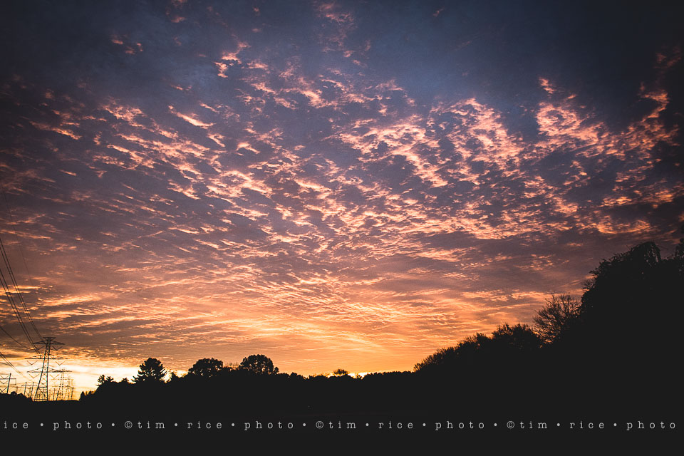 yr8%e2%80%a2228-365%e2%80%a22584%e2%80%a2subtle-sky