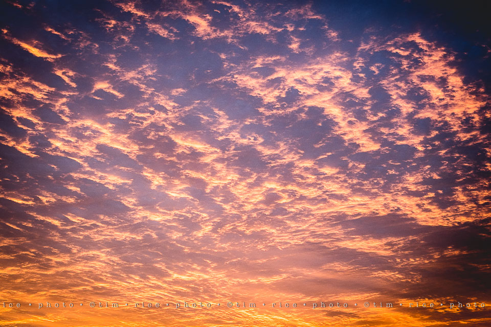 yr8%e2%80%a2229-365%e2%80%a22584%e2%80%a2subtle-sky