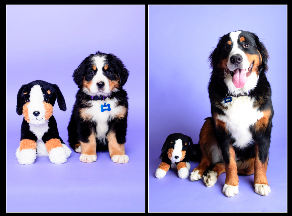 screen-shot-2016-11-09-at-10-04-59-pm