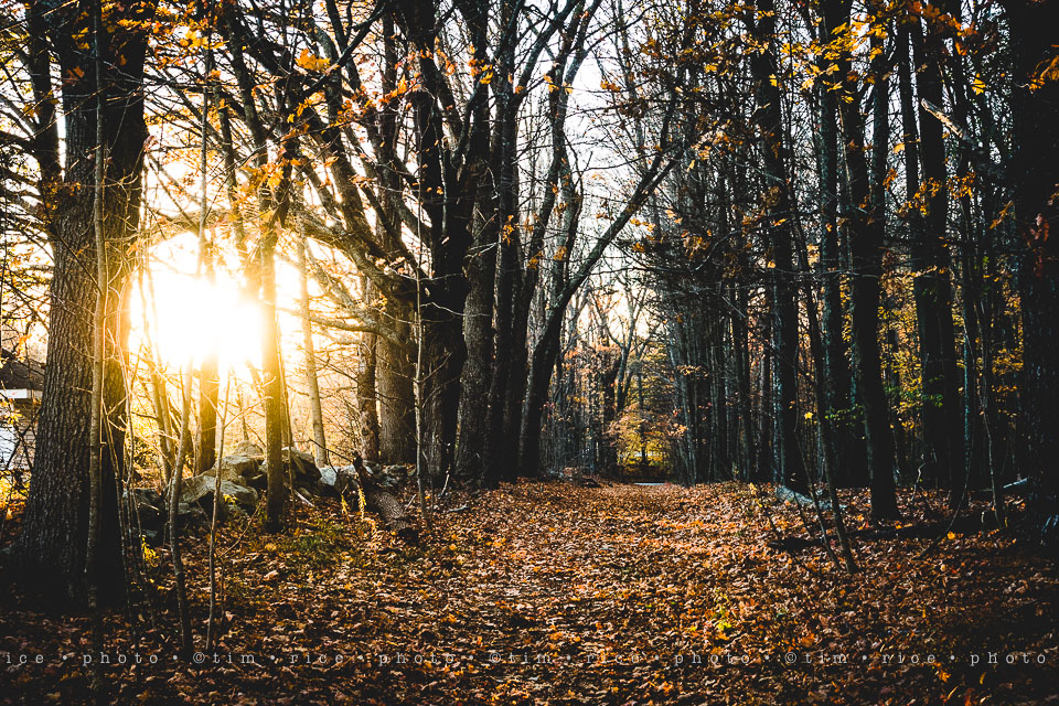 yr8%e2%80%a2032-365%e2%80%a22589%e2%80%a2a-setting-scene