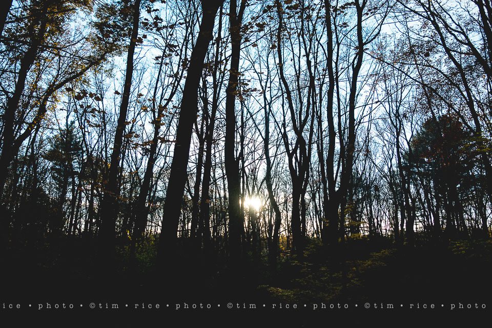 yr8%e2%80%a2032-365%e2%80%a22589%e2%80%a2a-setting-scene