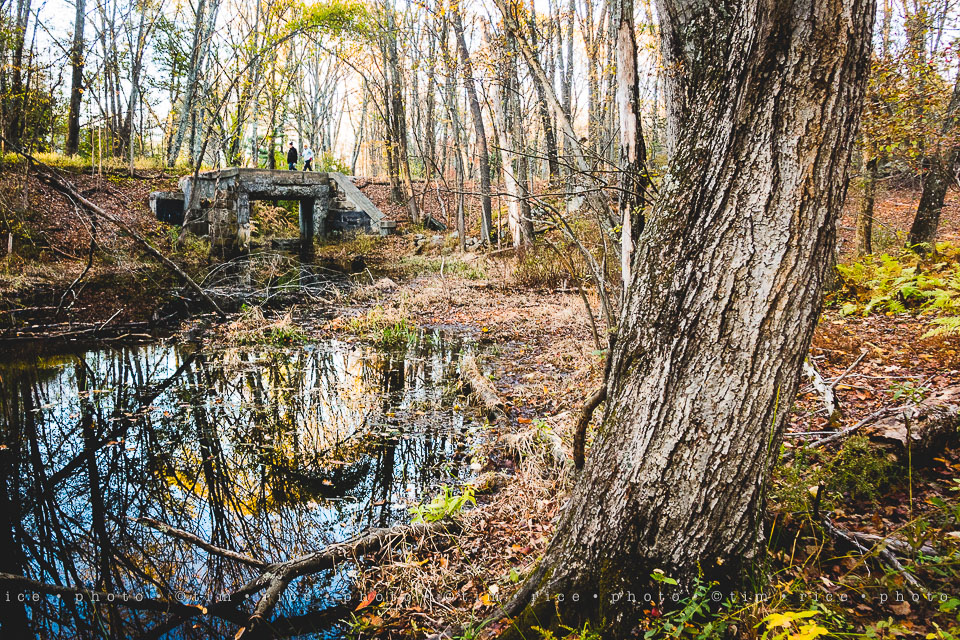 yr8%e2%80%a2033-365%e2%80%a22589%e2%80%a2a-setting-scene