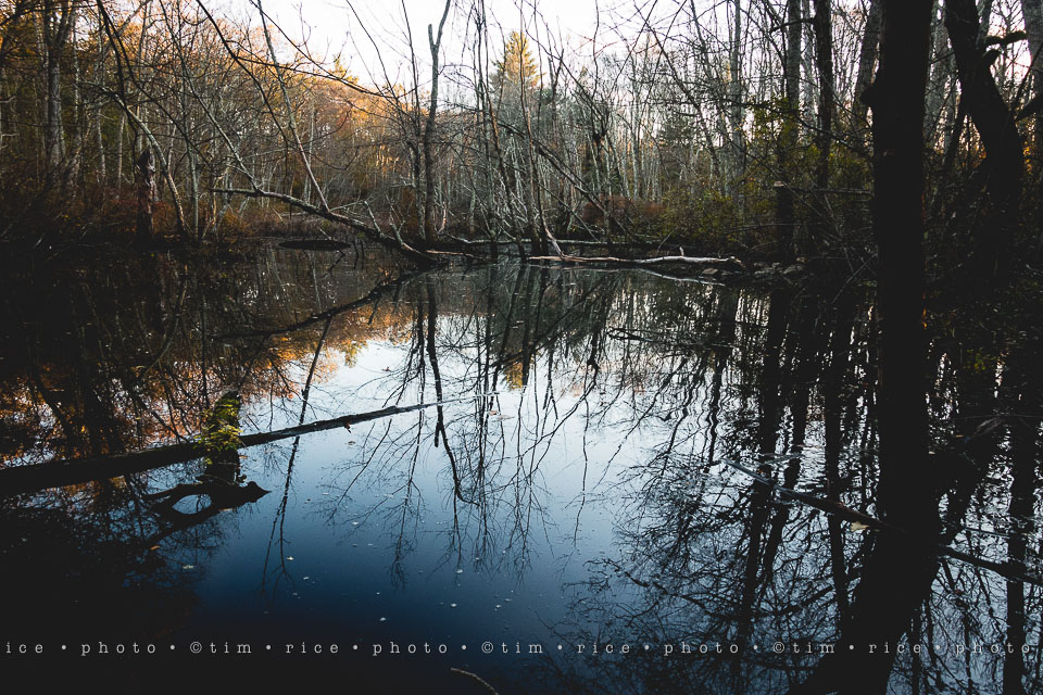 yr8%e2%80%a2038-365%e2%80%a22589%e2%80%a2a-setting-scene