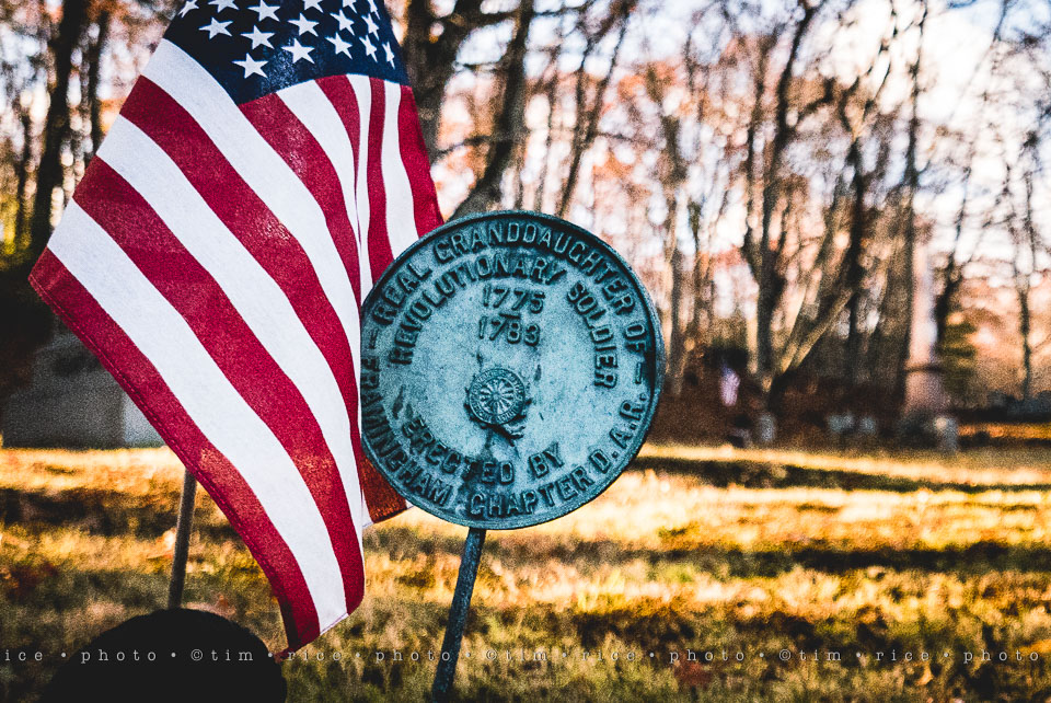 yr8%e2%80%a2044-365%e2%80%a22599%e2%80%a2thank-you