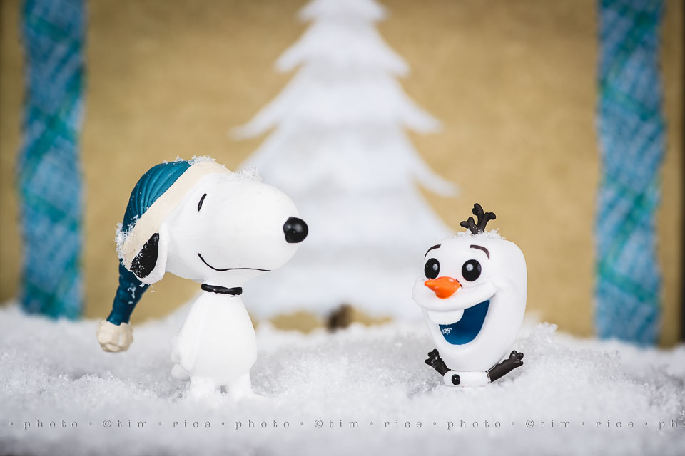 yr8%e2%80%a2053-365%e2%80%a22610%e2%80%a2snowfriends