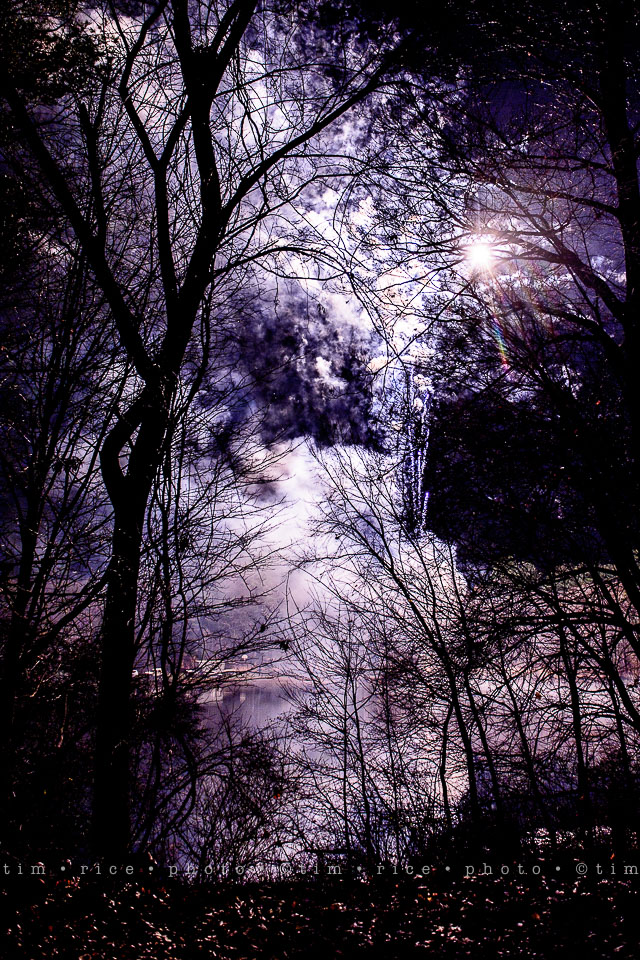 yr8%e2%80%a2086-365%e2%80%a22614%e2%80%a2fireworks-eye-to-eye