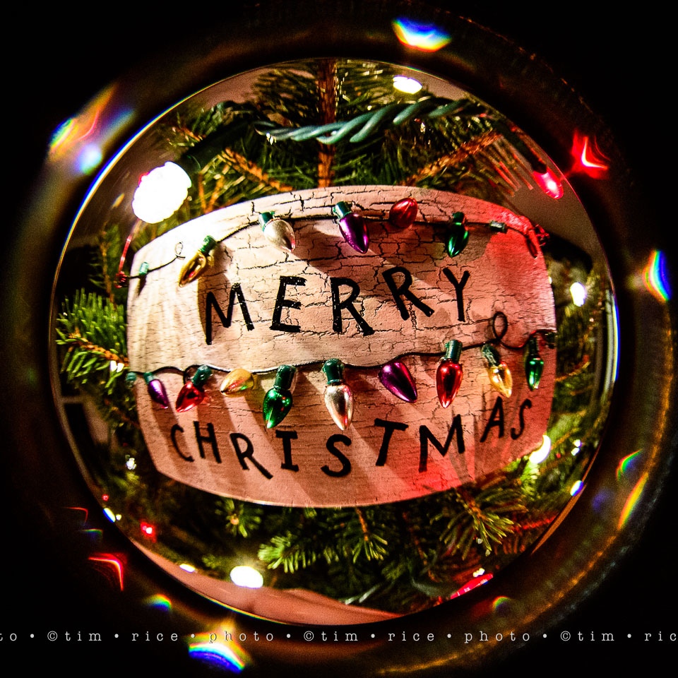 yr8%e2%80%a2062-365%e2%80%a22619%e2%80%a2merry-christmas