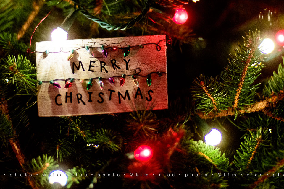 yr8%e2%80%a2062-365%e2%80%a22619%e2%80%a2merry-christmas