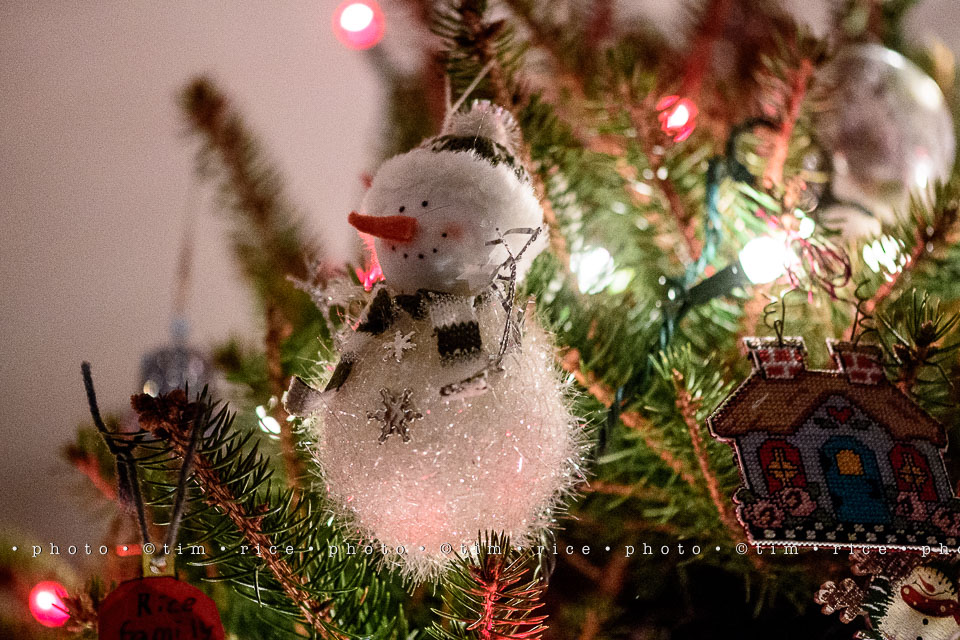 yr8%e2%80%a2067-365%e2%80%a22622%e2%80%a2snowman-in-square