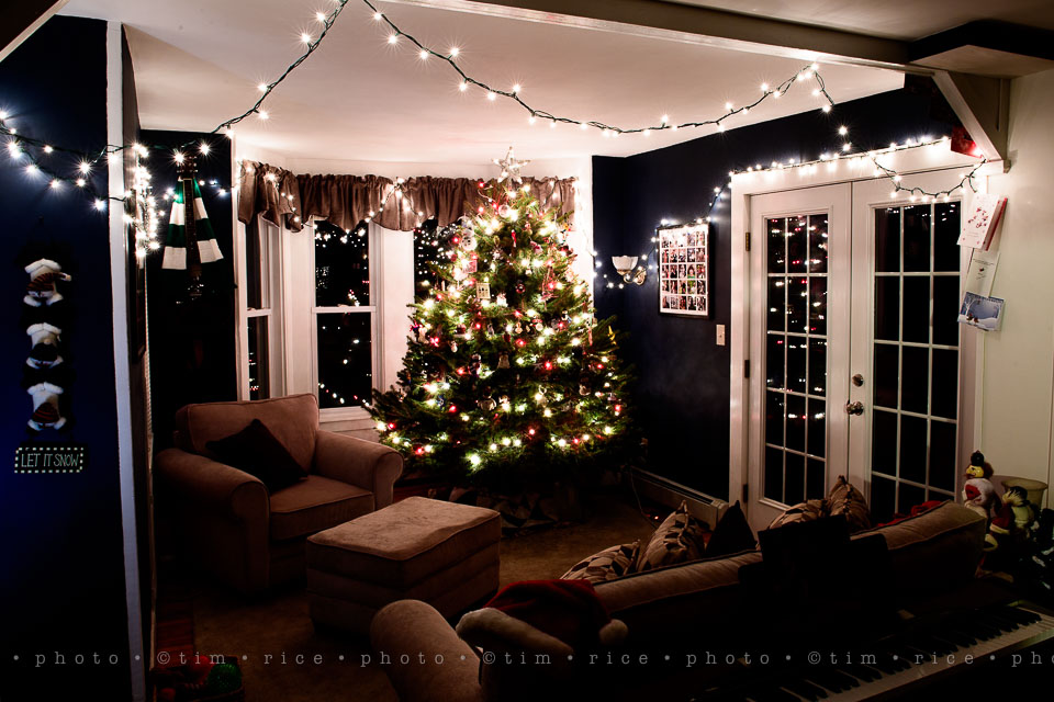 yr8%e2%80%a2067-365%e2%80%a22624%e2%80%a2the-christmas-room