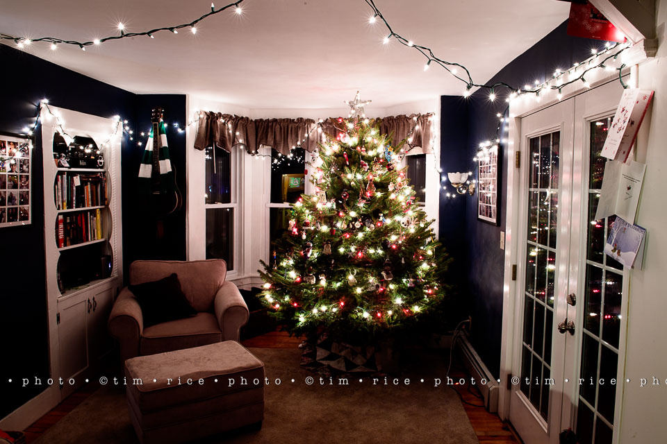 yr8%e2%80%a2067-365%e2%80%a22624%e2%80%a2the-christmas-room