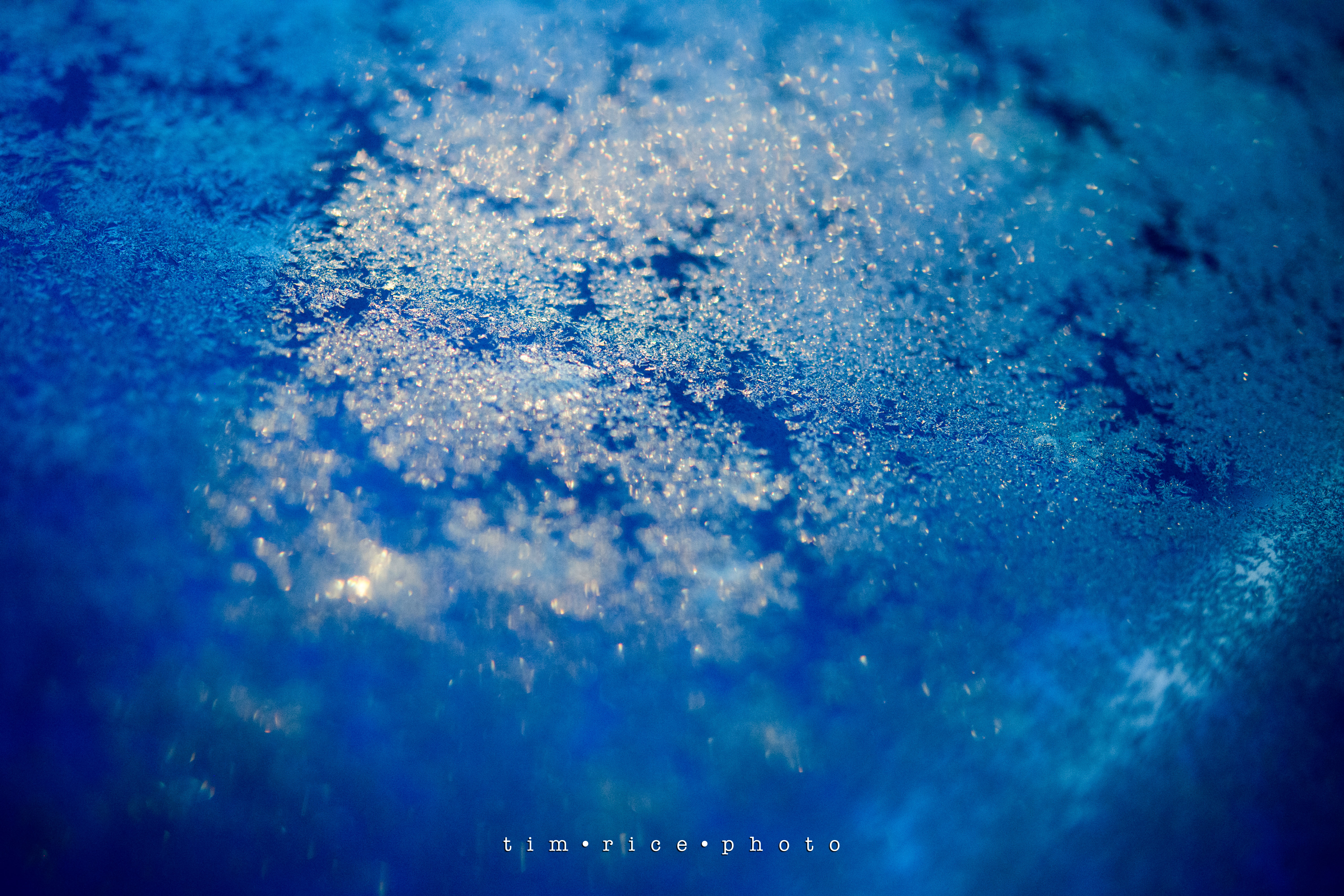 the dailypic 3767 yr11 115 Blue Cold – tim rice photo