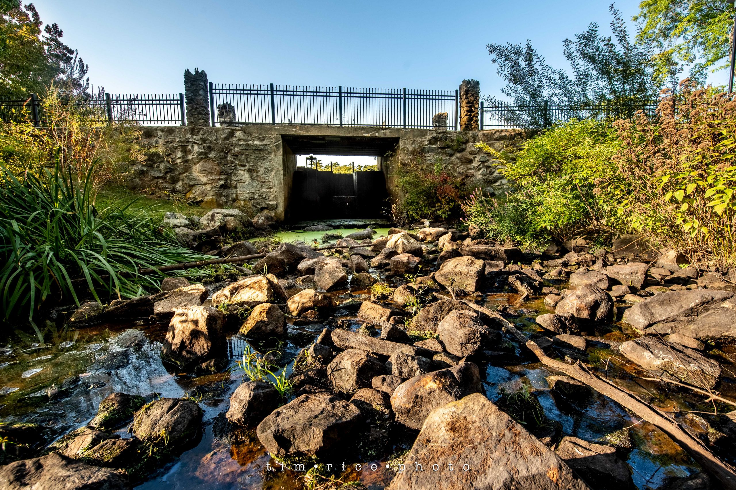 the dailypic 4009 yr11 357 Dry Bridge – tim rice photo