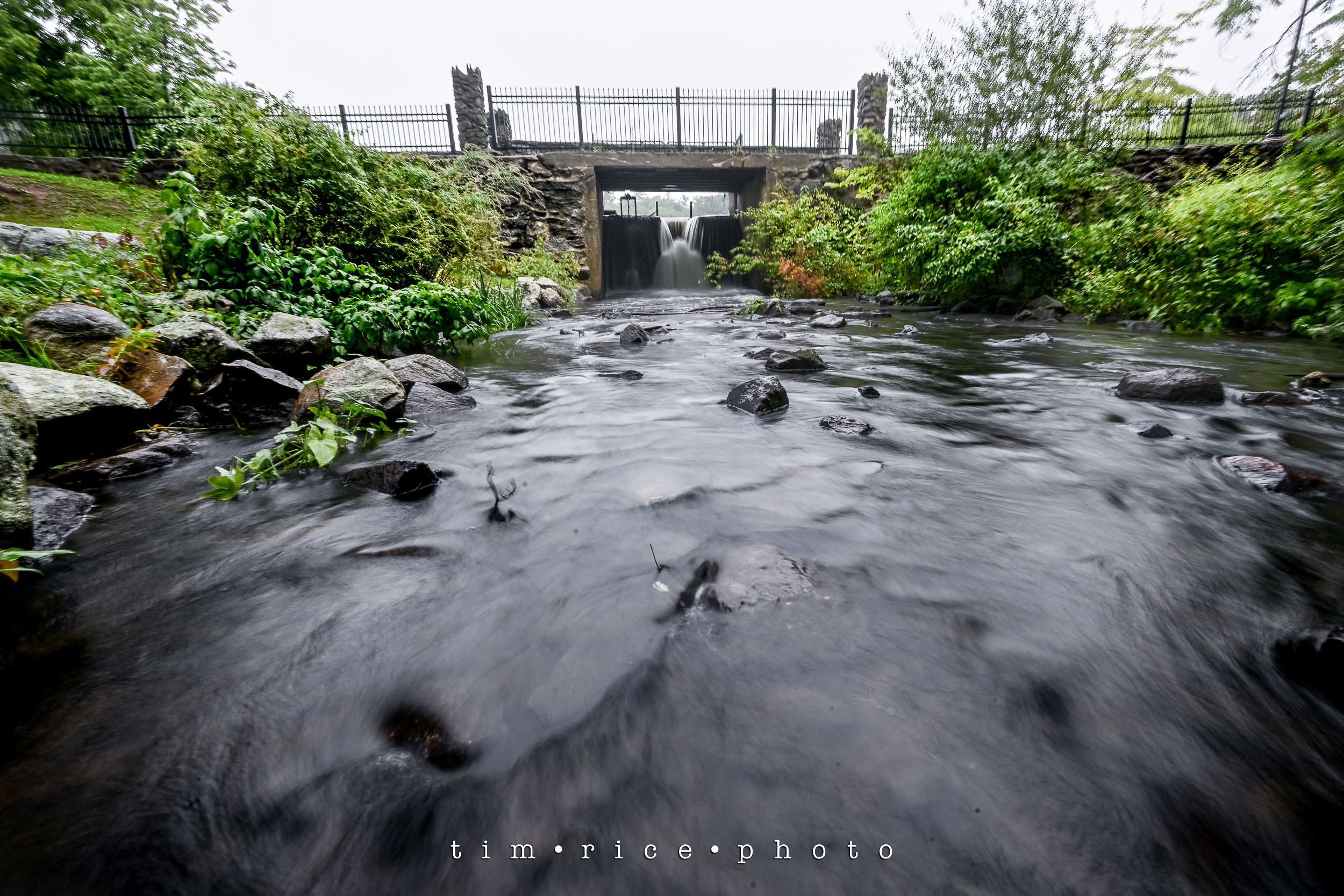 the dailypic 4724 yr13 341 Brook is Back – tim rice photo